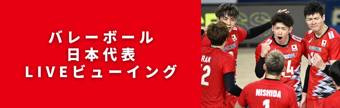 バレーボール 日本代表